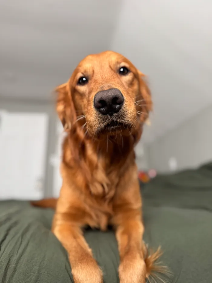 Oakley